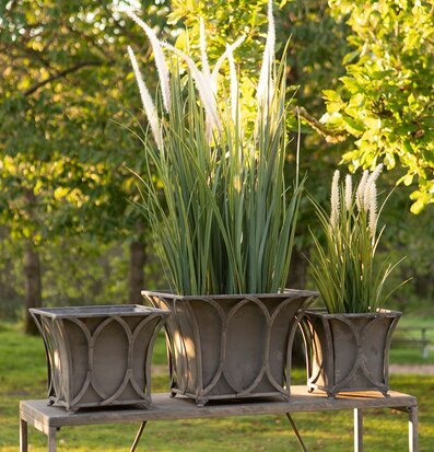 Bild av trädgård med stilrena metallkrukor och växter