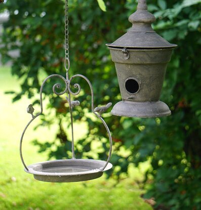 Bild av lummig trädgård med fågelbad och fågelholk