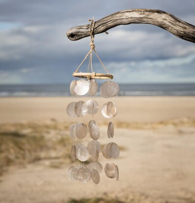 Bild av vindspel vid strand med dramatisk himmel