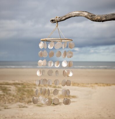 Bild av vindspel som hänger från en gren vid stranden