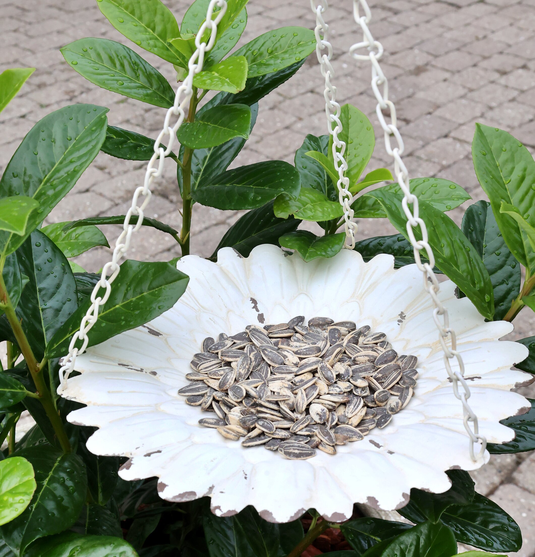 Foto av dekorativt fågelbord i antik stil med solrosfrön