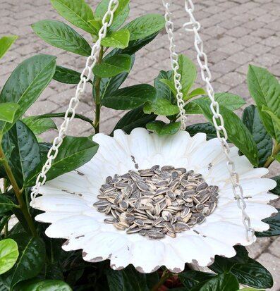 Foto av dekorativt fågelbord i antik stil med solrosfrön