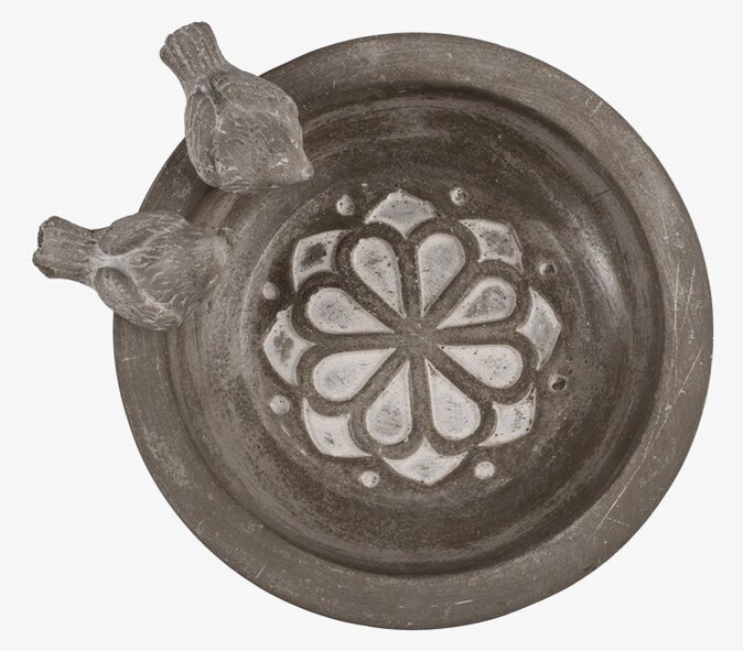 Fågelbad Grå Out of the blue