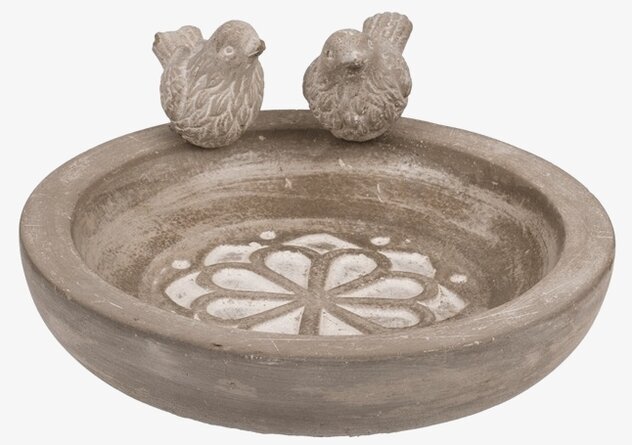 Fågelbad Grå Out of the blue