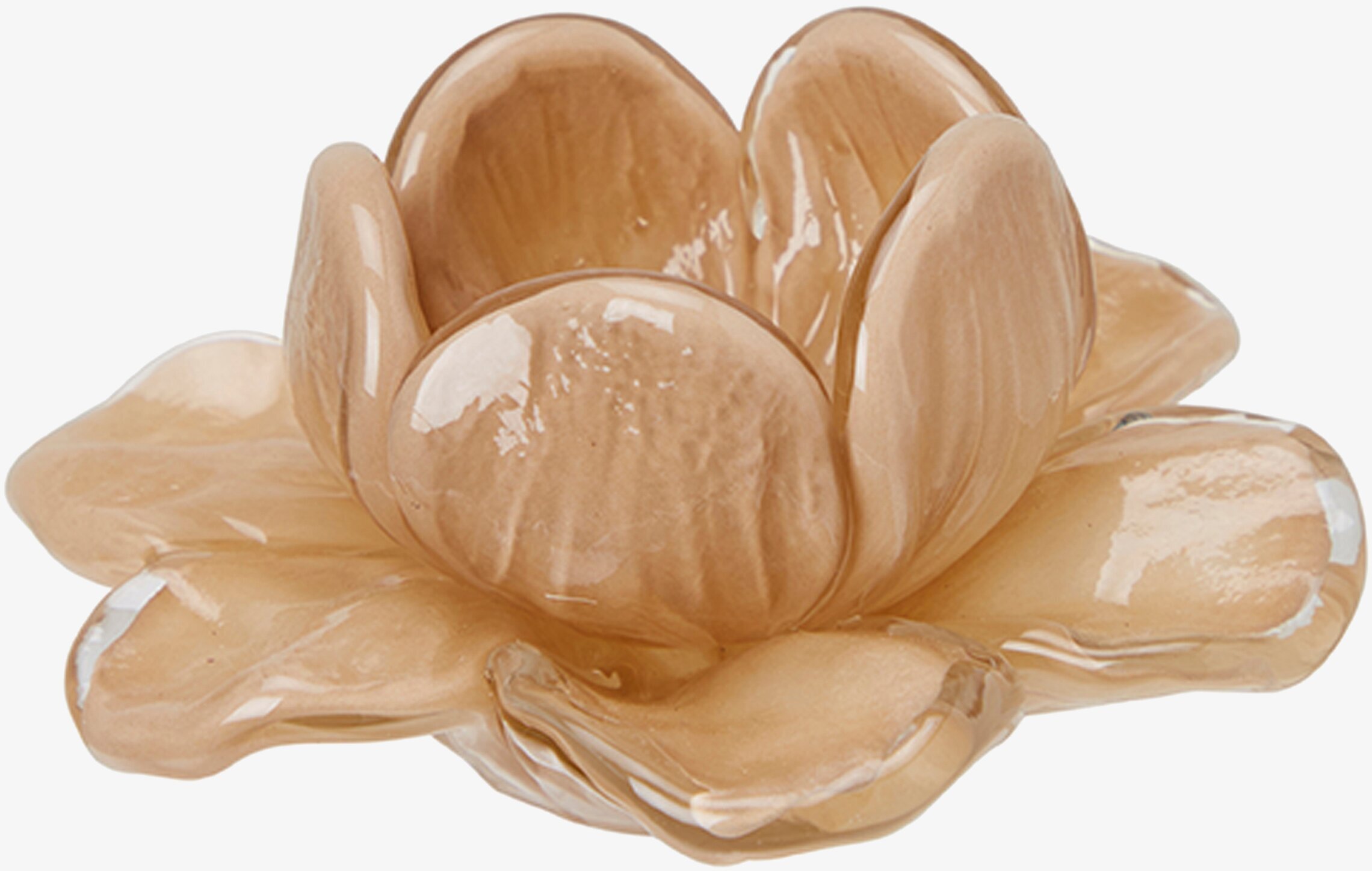 Bild av elegant beige blomdekor för harmoniskt hem