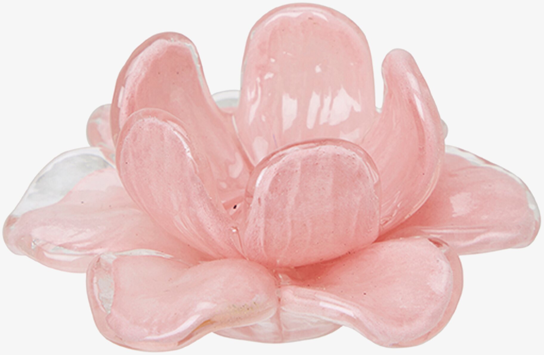 Bild av elegant rosa dekorationsblomma för inredning