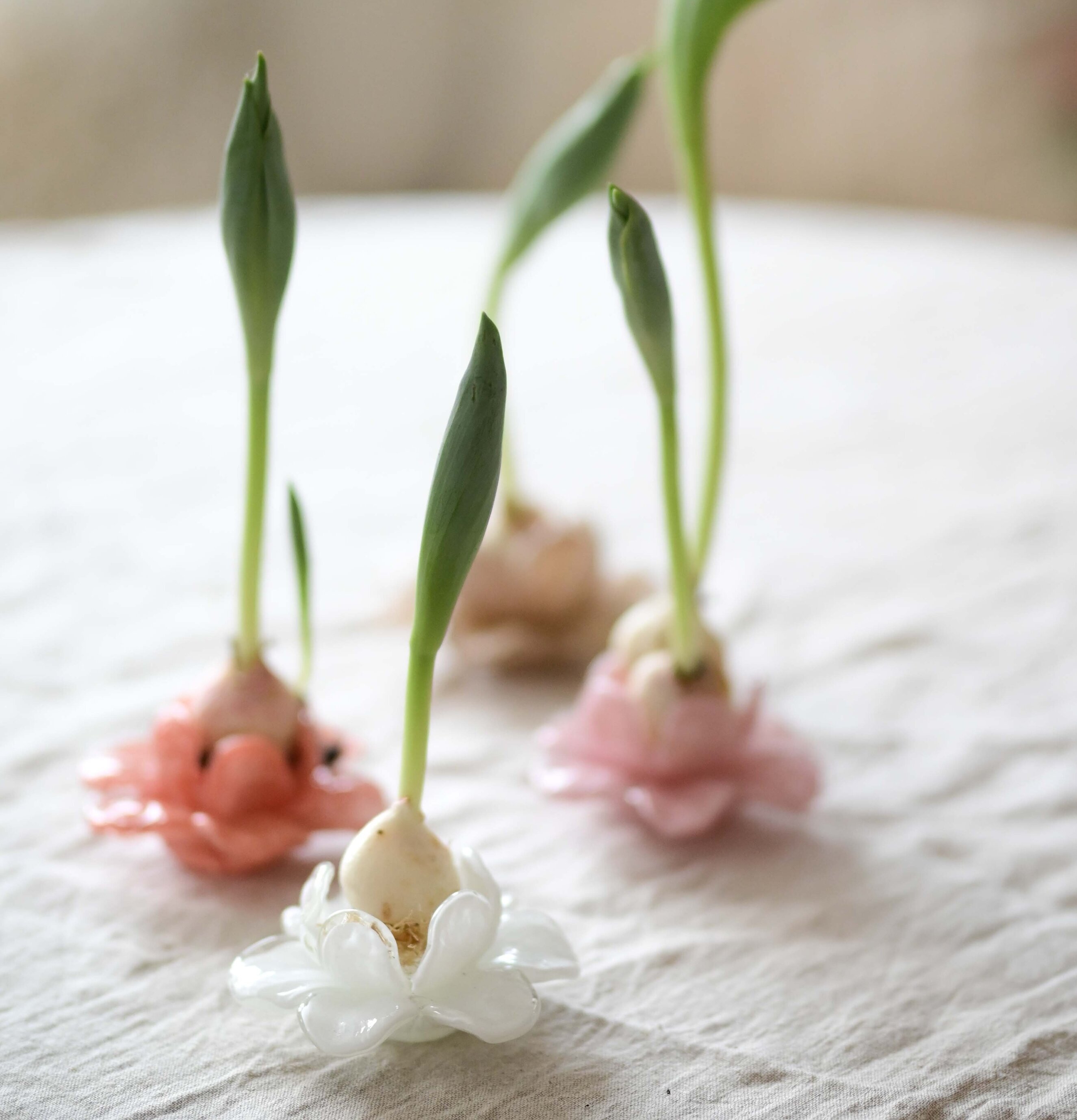 Flor Dekoration Blomma Aprikos Rosa Beige Wikholm Form Övrig prydnad/dekoration för inredning innemiljö