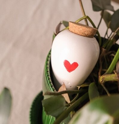 Bild av hjärtformad bevattning olla i grön krukväxt