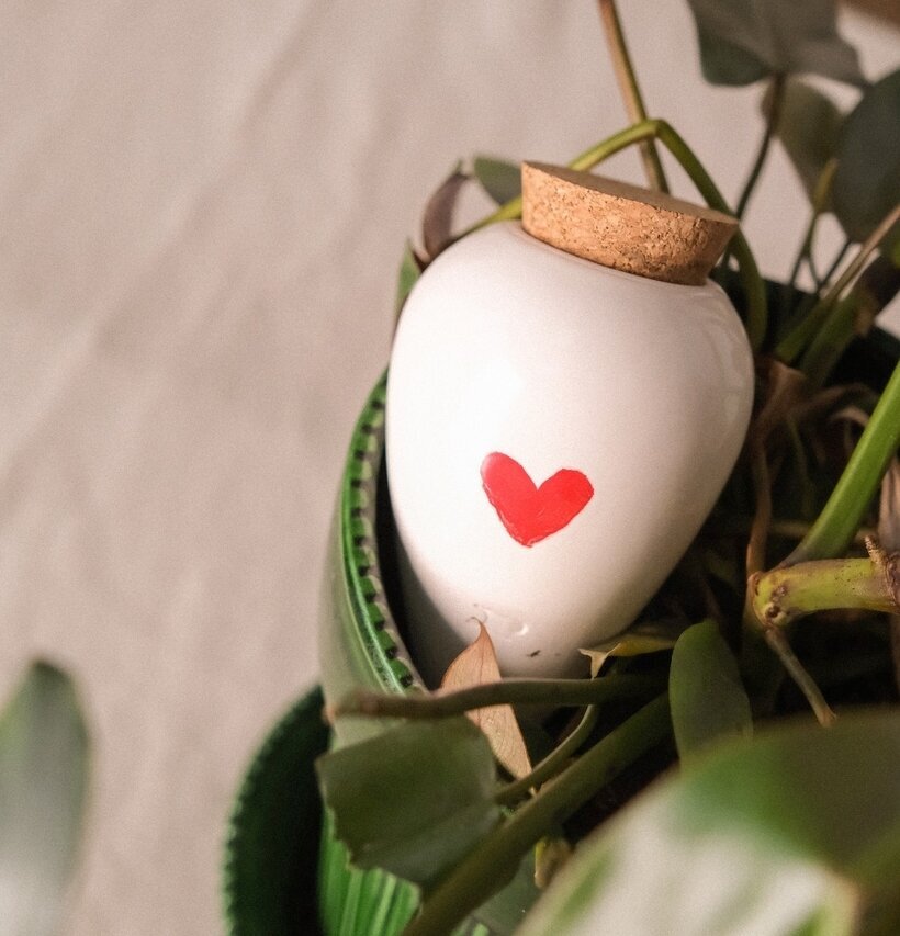 Bild av hjärtformad bevattning olla i grön krukväxt