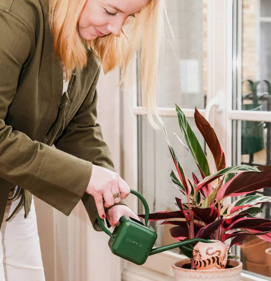 Bevattning Olla Tiger x Camille Gressier Pepin Självbevattnare Självbevattning Bevattningsglas Droppvattnare Droppbevattnare Droppbevattning