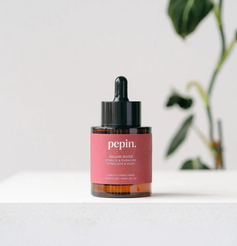 Willow Water - Rotutveckling Pepin Övrig prydnad/dekoration för inredning innemiljö