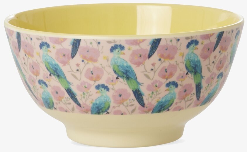 Skål Exotic Bird Print Rice Skålar att äta ur tilltugg Såskannor/Vispskål servering Matlådor Förvaring av lunch/mat