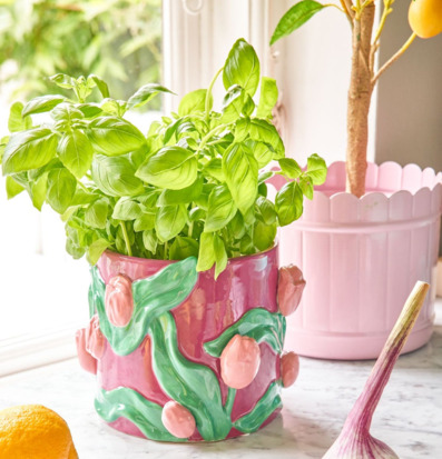 Bild av inspirerande köksmiljö med pastellkruka och örter