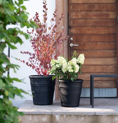 Bild på harmonisk entré med svarta krukor och höstväxter