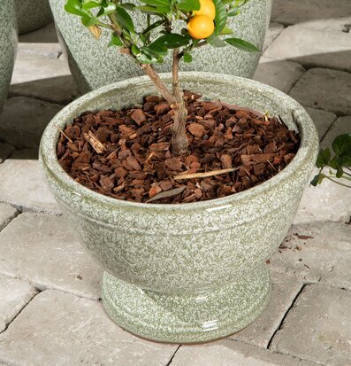 Bild på pokalkruka med citrus, grön glasyr och barkmull ute