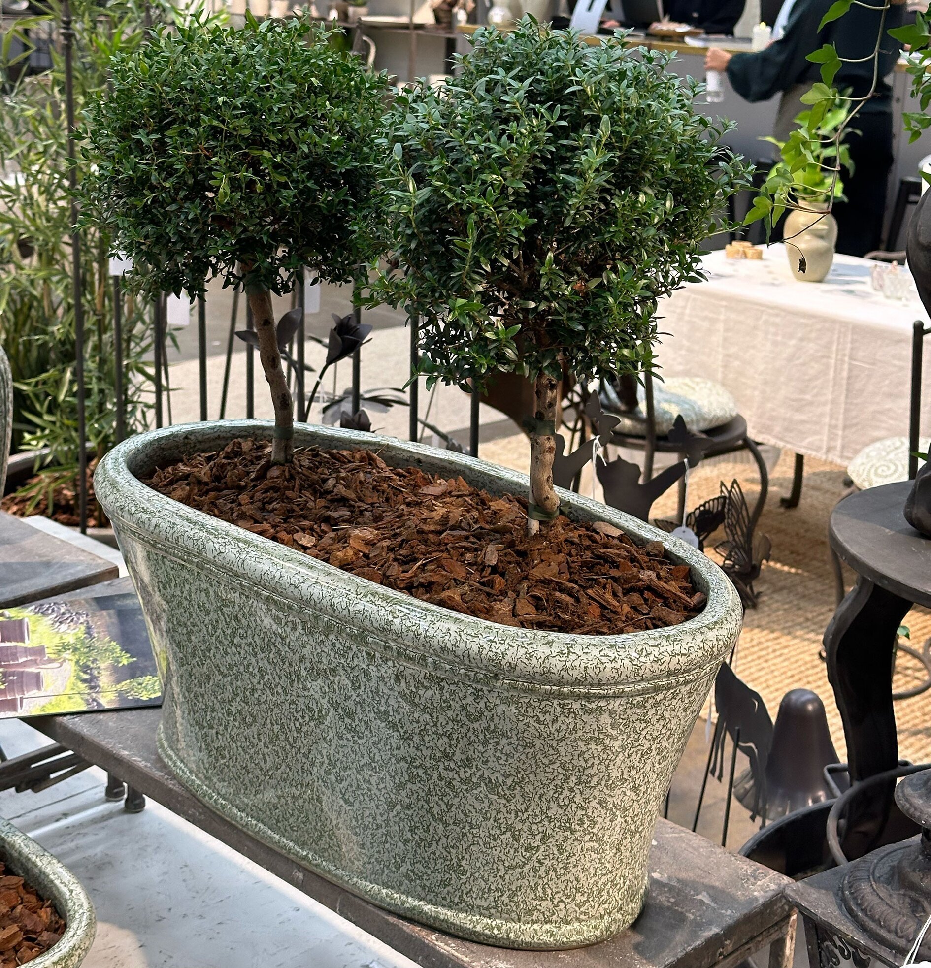 Planteringslåda Rut Grönska Set/3 A Lot Decoration Krukor Örtkrukor Glaskrukor