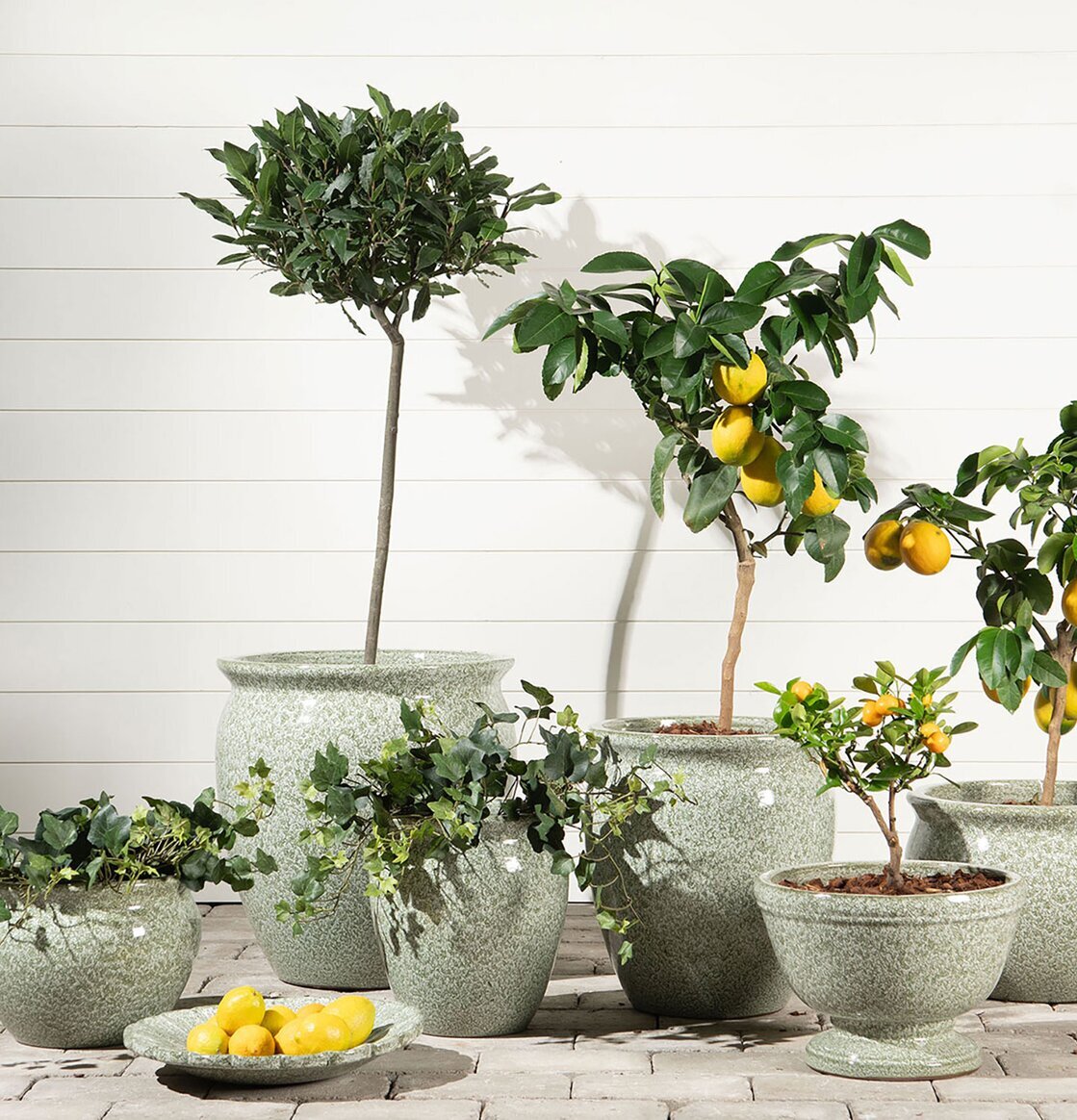 Fågelbad Grönska A Lot Decoration Övrig prydnad/dekoration för inredning innemiljö