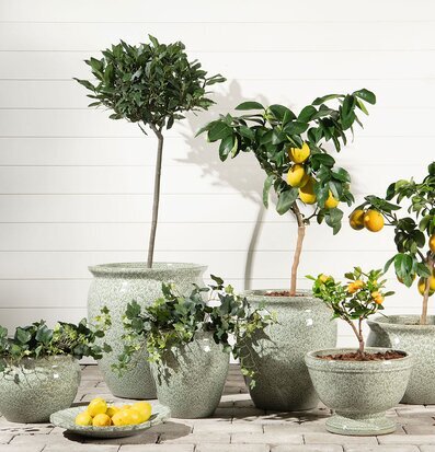 Fågelbad Grönska A Lot Decoration Övrig prydnad/dekoration för inredning innemiljö