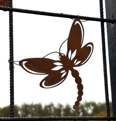 Bild av slända i rostig metall på armeringsnät utomhus