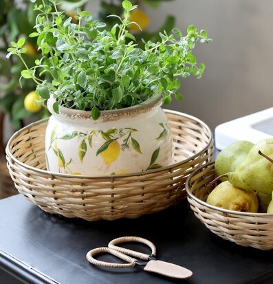 Kruka Limone Creme Ø12cm Chic Antique Krukor Örtkrukor Glaskrukor