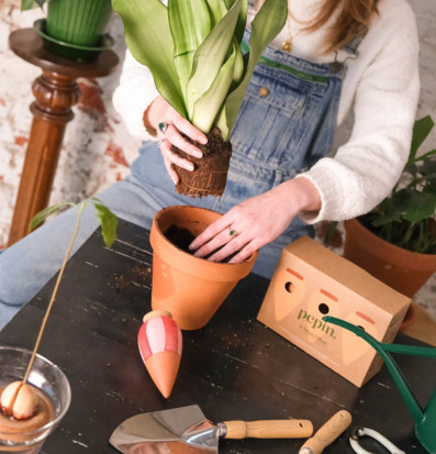 Bild: Plantering och trädgårdsredskap i inspirerande miljö