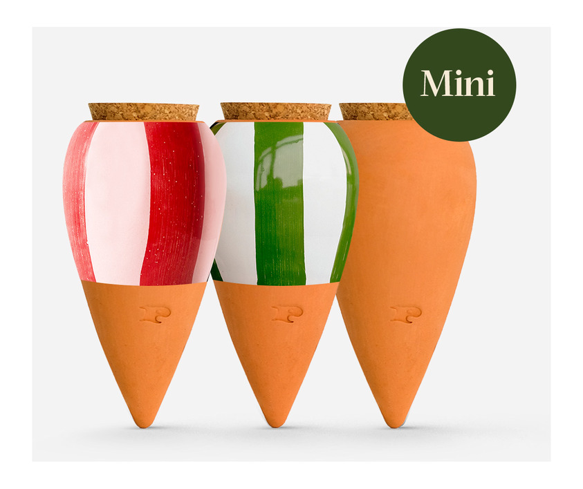 Trio Mini Ollas Randig Pepin Självbevattnare Självbevattning Bevattningsglas Droppvattnare Droppbevattnare Droppbevattning