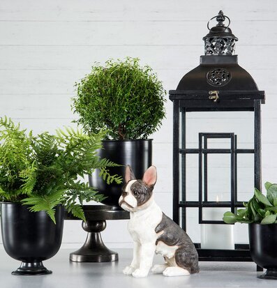 Bild av harmonisk inredning med hundfigur, växter och ljus