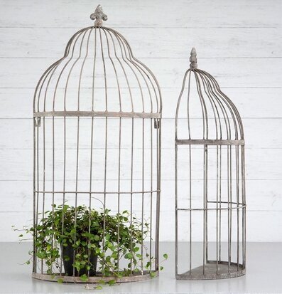 Bild på två metallburar med växt mot ljus träpanel