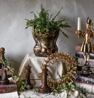 Bild: Inspirerande arrangemang med kaninkruka och växter