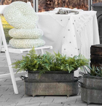 Bild av rustika metallkrukor och grönska i ljust uterum