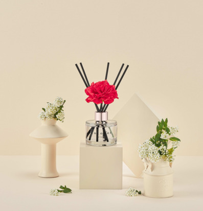 Bild: Harmonisk och ljus inredning med doftpinnar och vaser