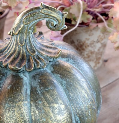 Bild av dekorativ pumpa i antik mässing med patina och växter