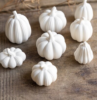 Bild: Vita keramikpumpor på rustik träyta med torkade växter