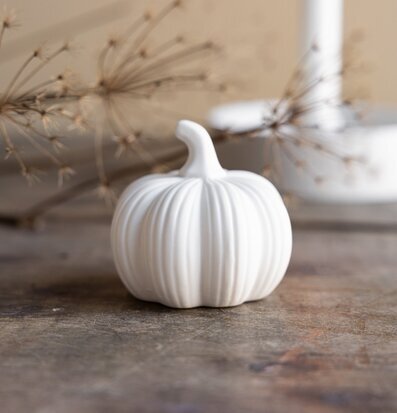 Bild med vit keramikpumpa på rustikt trä och torkade växter