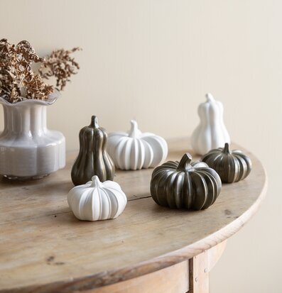 Bild av keramikpumpor och torkade växter på ljust träbord