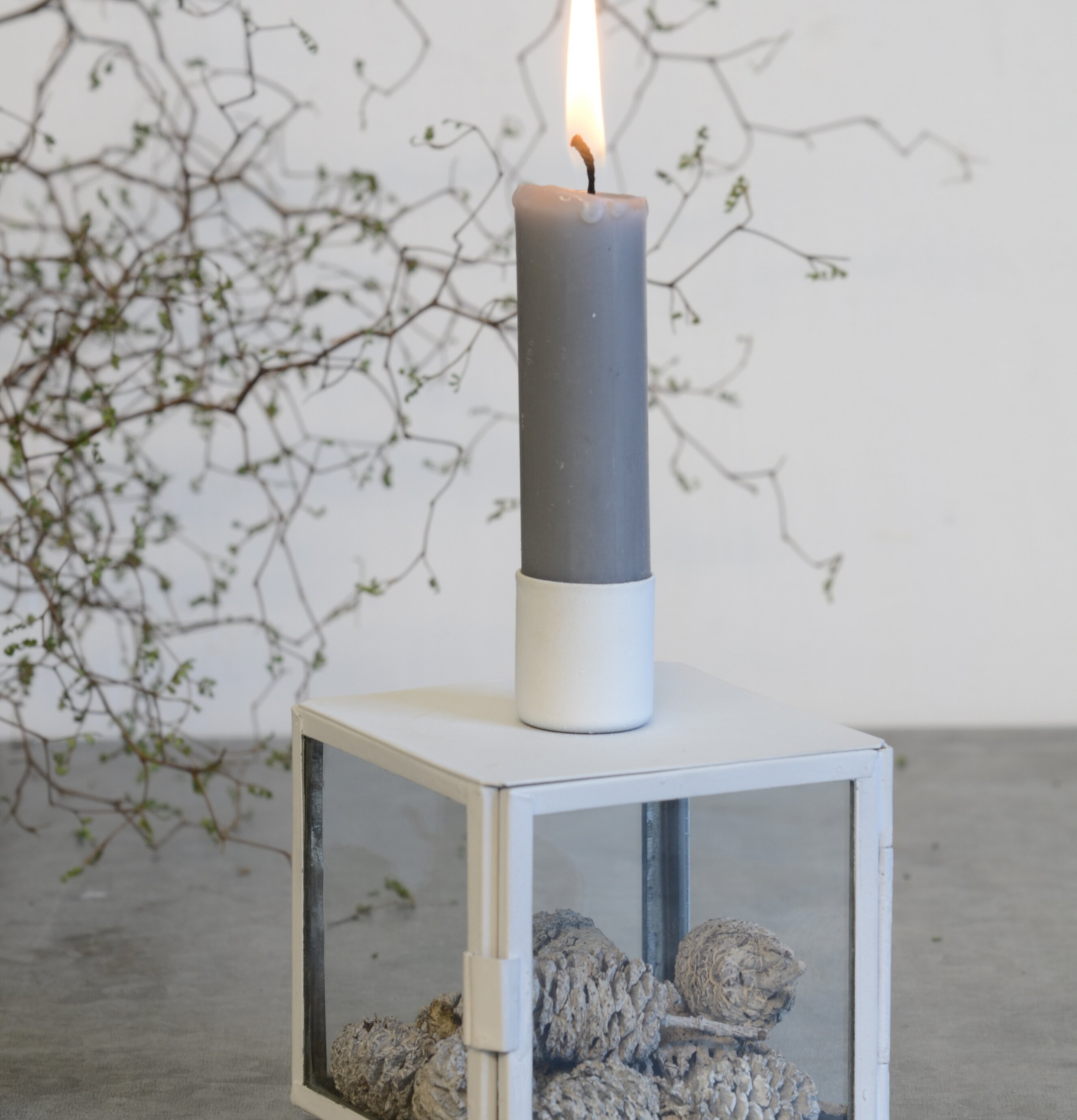 Glasbox Ljuslykta Vit Bönljus från IB Laursen med kottar