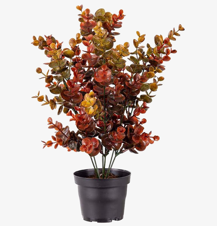 Eucalyptus Mr Plant Konstväxter Konstblommor Plastväxter Plastblommor