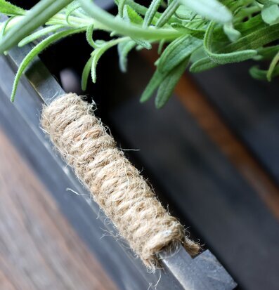 Trälåda Set/2 Antiksvart Chic Antique Förvaringslådor och korgar Boxar Förvaringsboxar Porslinsboxar Trälådor Smyckesboxar i porslin Förvaringsbrickor