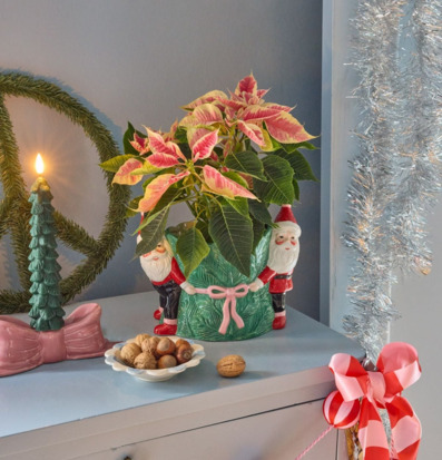 Kruka Santa Flower Rice Krukor Örtkrukor Glaskrukor