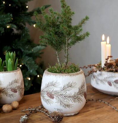 Planteringskruka Tallkvist Creme Chic Antique Krukor Örtkrukor Glaskrukor