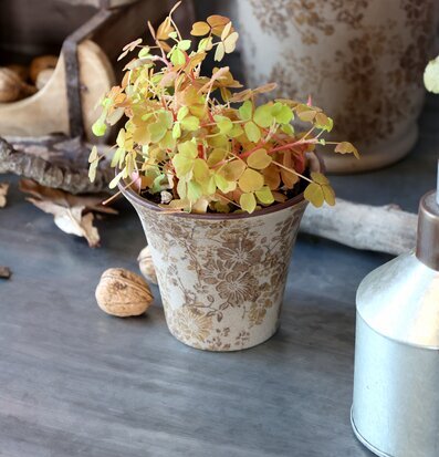 Kruka Keramik Melun Chic Antique Krukor Örtkrukor Glaskrukor