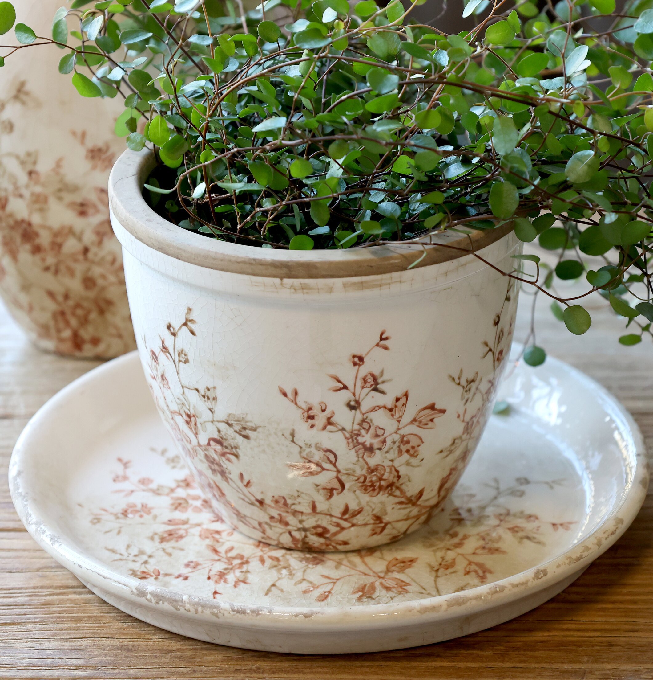 Kruka Keramik Chaville 13cm Chic Antique Krukor Örtkrukor Glaskrukor