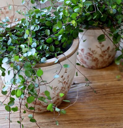 Kruka Keramik Chaville 13cm Chic Antique Krukor Örtkrukor Glaskrukor