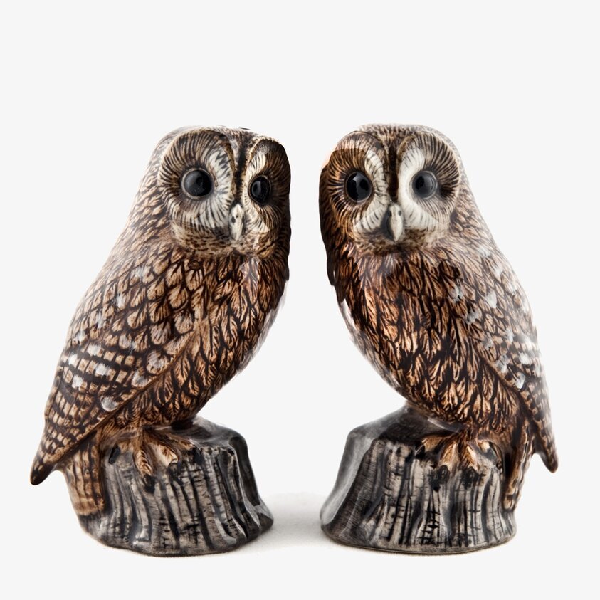 Salt & Pepparkar Tawny Owl Quail Ceramics Krydd och örtförvaring Glasburkar för kryddor örter Saltförvaring Pepparkvarnar