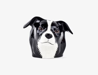 Bild på detaljrik äggkopp formad som border collie-huvud