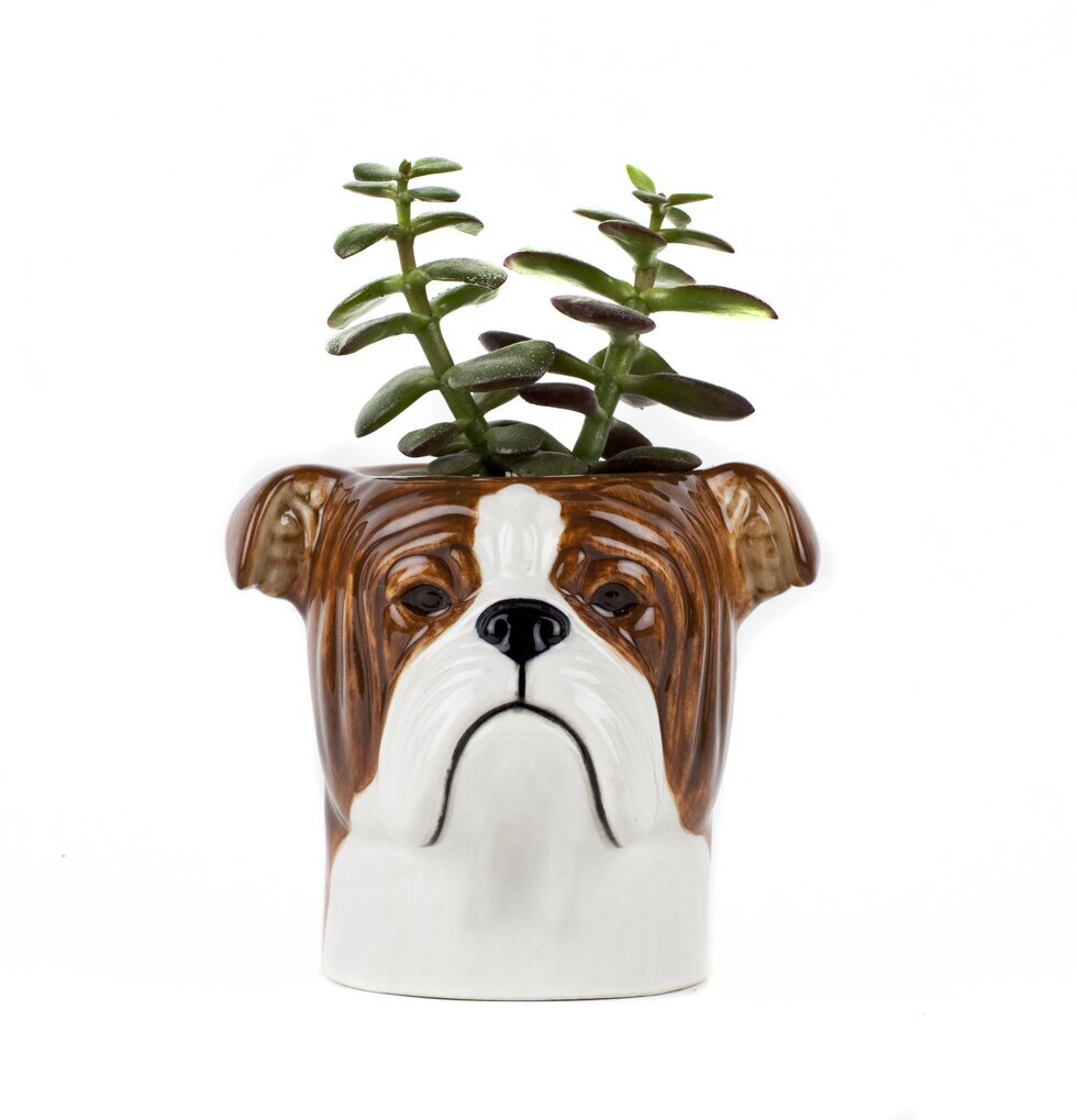 Förvaringsburk/Kruka Keramik Bulldog Quail Ceramics Förvaringsburkar i stengods