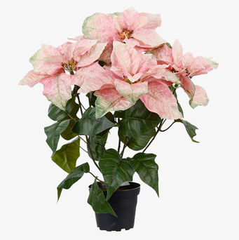 Julstjärna Rosa 45cm Mr Plant Konstväxter Konstblommor Plastväxter Plastblommor