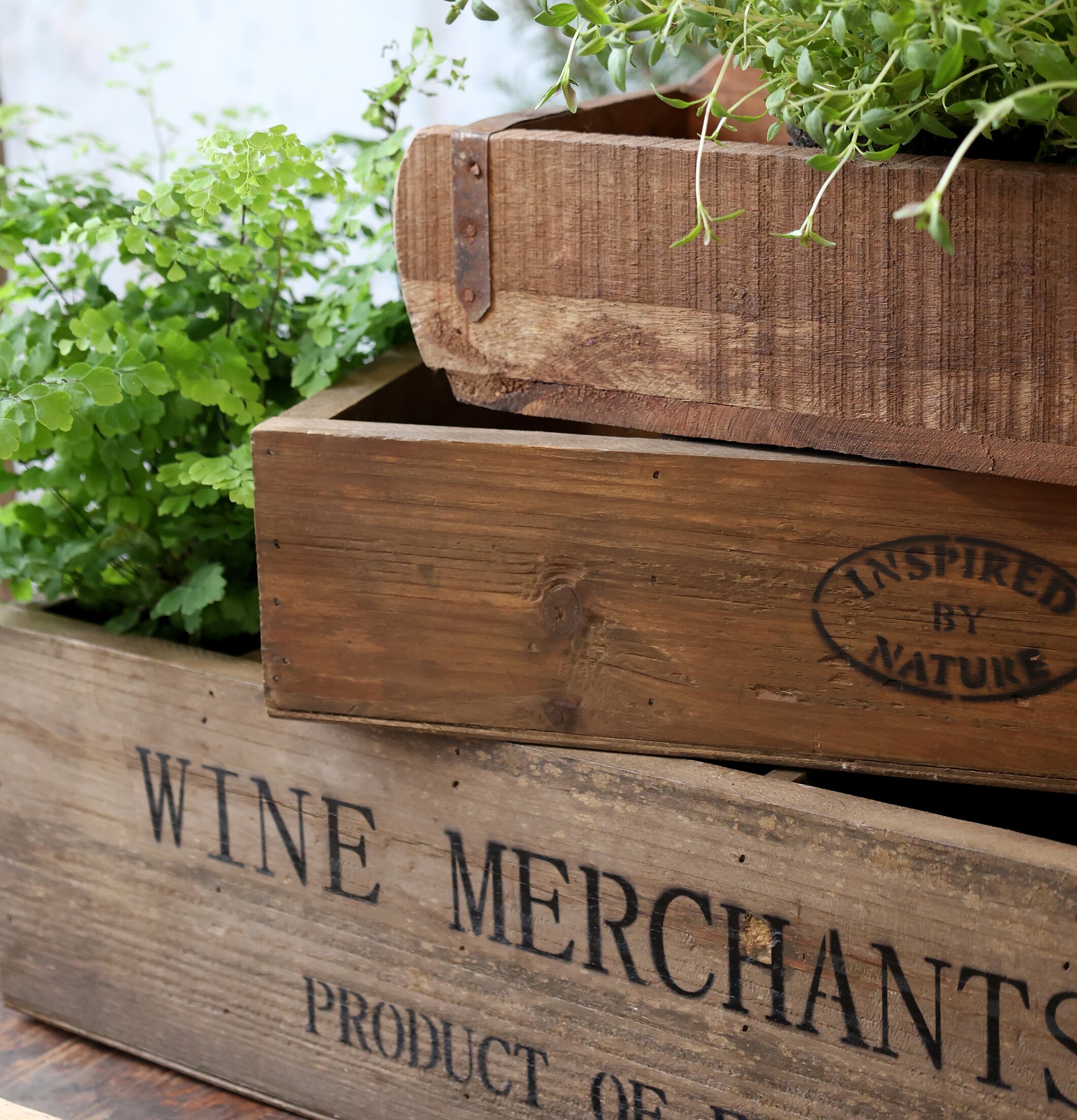 Förvaringslåda Trä - Wine Merchants Chic Antique Förvaringslådor och korgar Boxar Förvaringsboxar Porslinsboxar Trälådor Smyckesboxar i