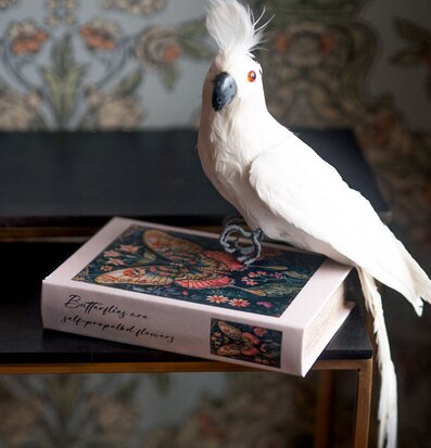 Boklåda Fjäril A Lot Decoration Övrig prydnad/dekoration för inredning innemiljö