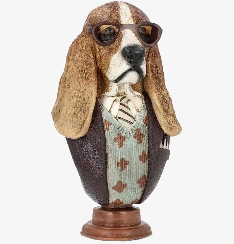 Byst Basset Hund Glasögon A Lot Decoration Byster